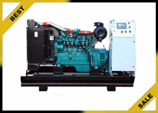 50 Hz Natural Gas Powered Generator , 200 Kw Gas Electric Generator Ac Three