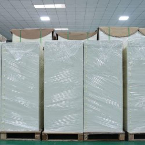 Custom Size Biodegradable Single Double Wall PLA Coated Paper Sheet