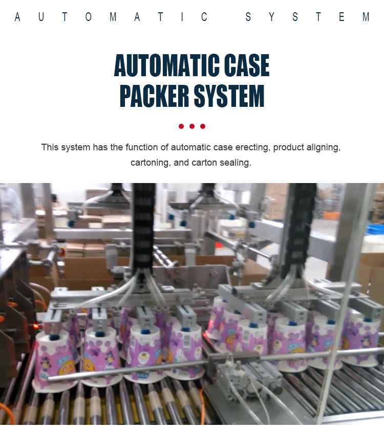 Automatic Case Packer System Multi Function E Commerce Packing Food Machine