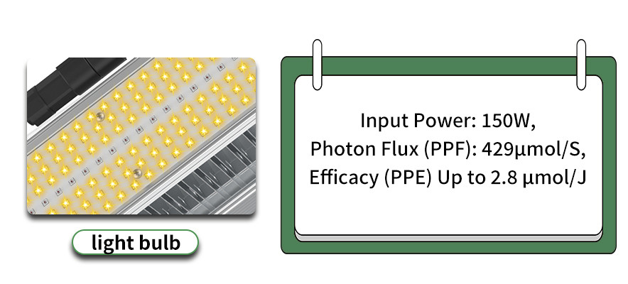 SL01 LED toplighting High Output LED horticultural Lighting for Greenhouse Medicinal