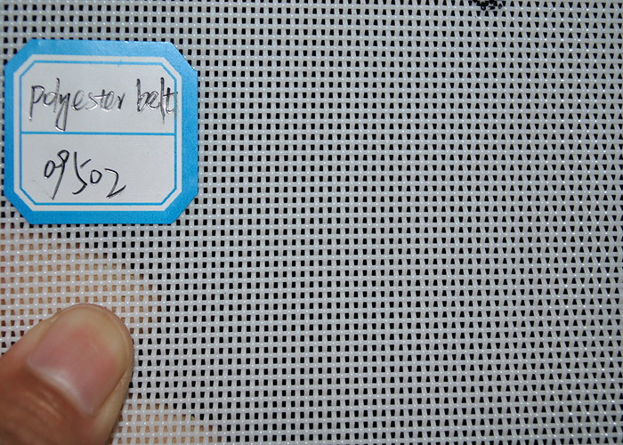 Woven Dryer Plain Paper Mills Iso9001 Polyester Mesh Belt Spiral Hole
