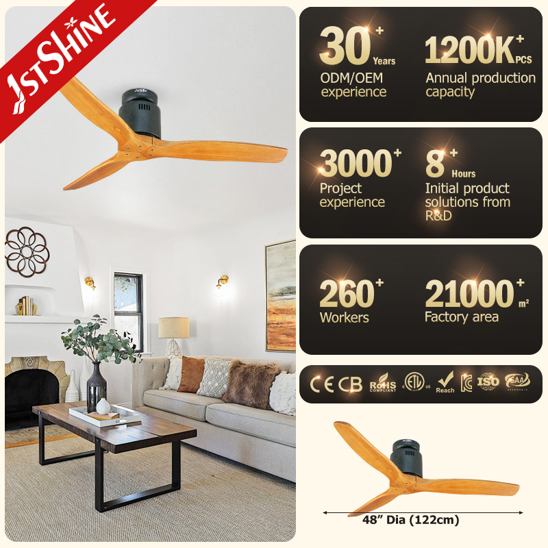 ceiling fan