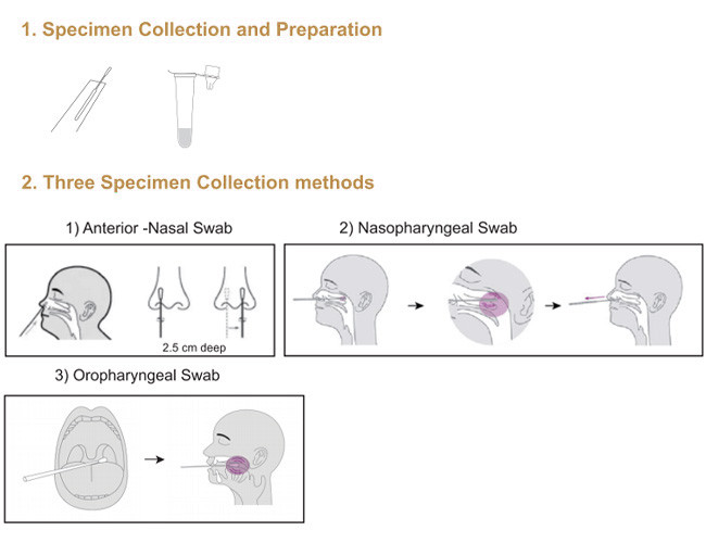 Covid 19 Antigen Test Kit Nasal Swab 10 Tests/Kit CE Professional Test Accuracy 99.68%