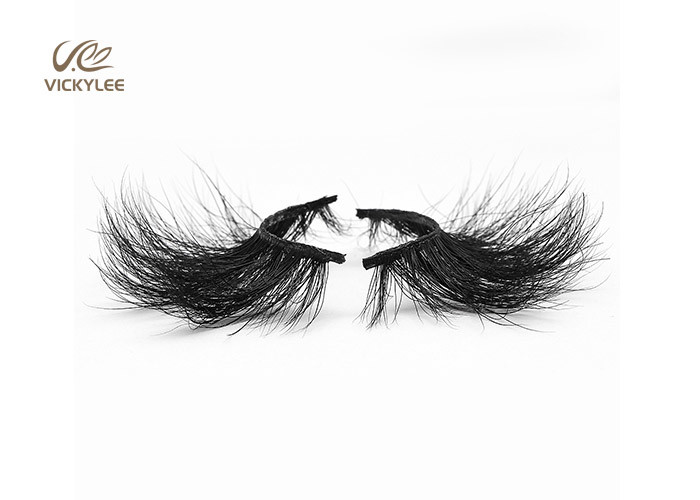 Fan Shaped Whole Strip Cotton Stalk 5D Volume Lashes
