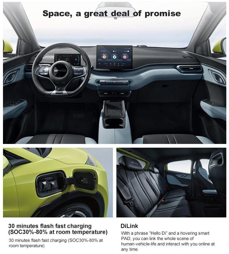 Auto Hot Sale Byd Seagull 2024 Flying Electric Car New Energy Vehicles Byd Seagull Second Hands Car Byd Seagull