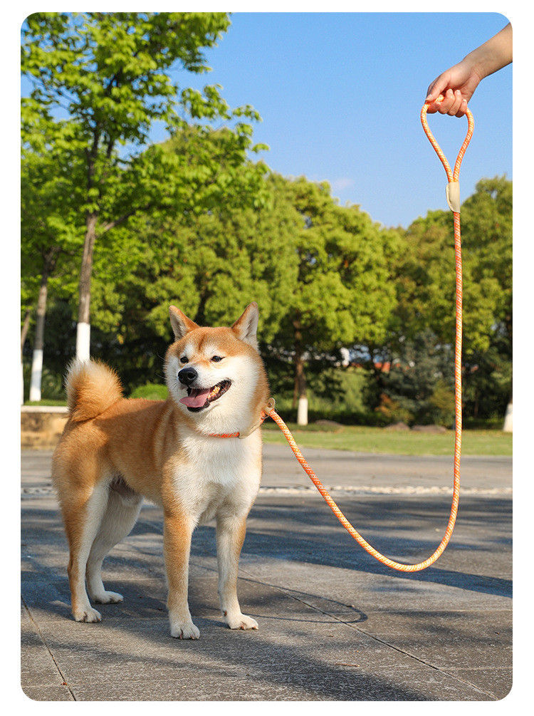Pets Nylon Sturdy And durable Leash High Quality Traction Rope For Dog And Cat