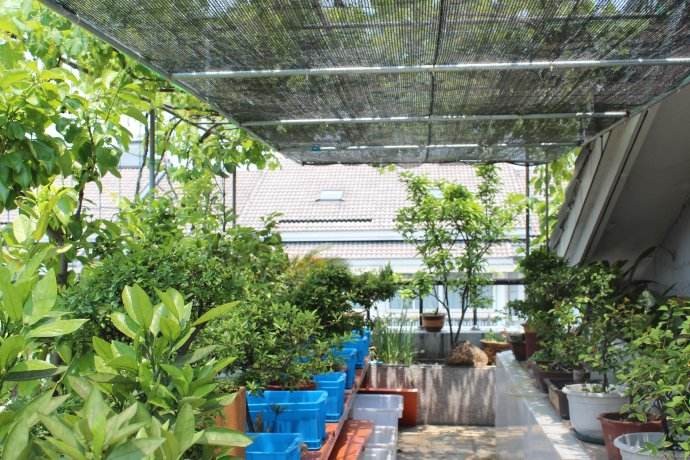 6m Wide Greenhouse Plastic Weed Mat 30gsm-300gsm Agricultural Shade Cloth