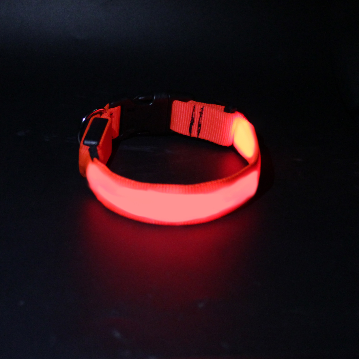 Pet LED Dog Collar Light Premium Waterproof Adjustable Luminous Training Nylon Printed