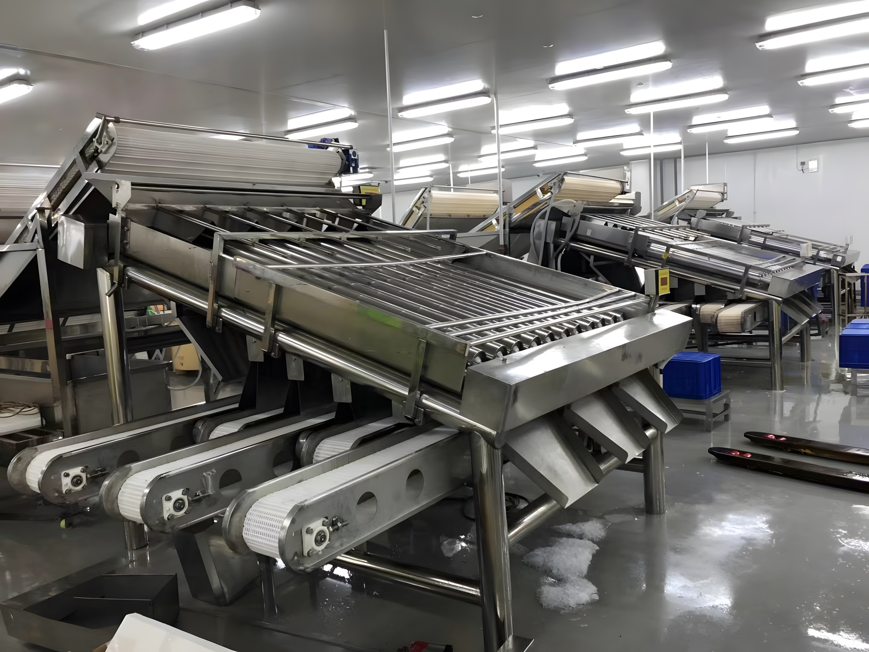 ISO 1500KG Seafood Sorting Machine , Multifunctional Fish Size Sorter