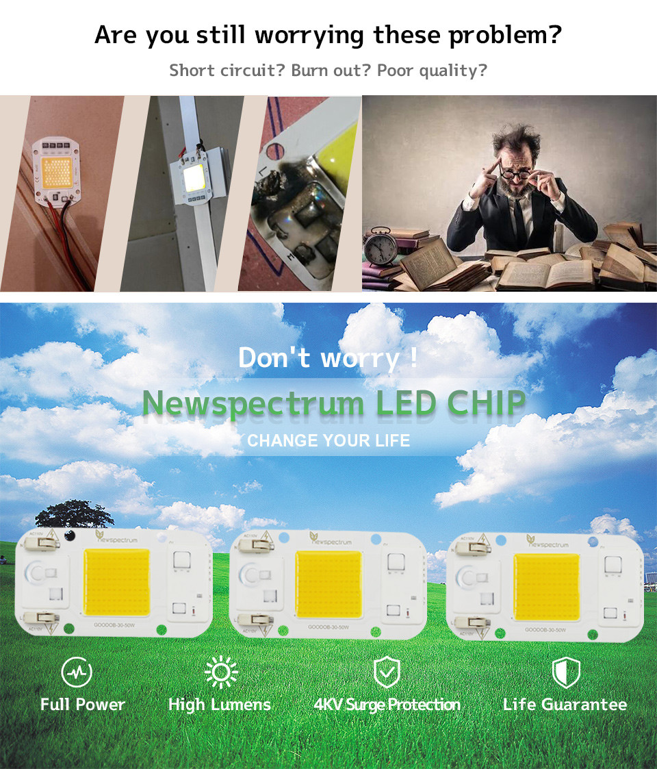 3000K 6000K AC COB LED Power 10W 20W 240V Warm Rgb LED Module