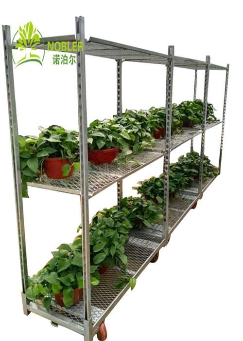 Hot Dip Galvanizing Metal Mesh Horticulture Trolley Not Easy Rust 1500*565*1900