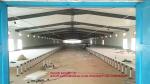 Chicken Transport Cage Adult Birds Cage Cage Poultry Transport Cage Box