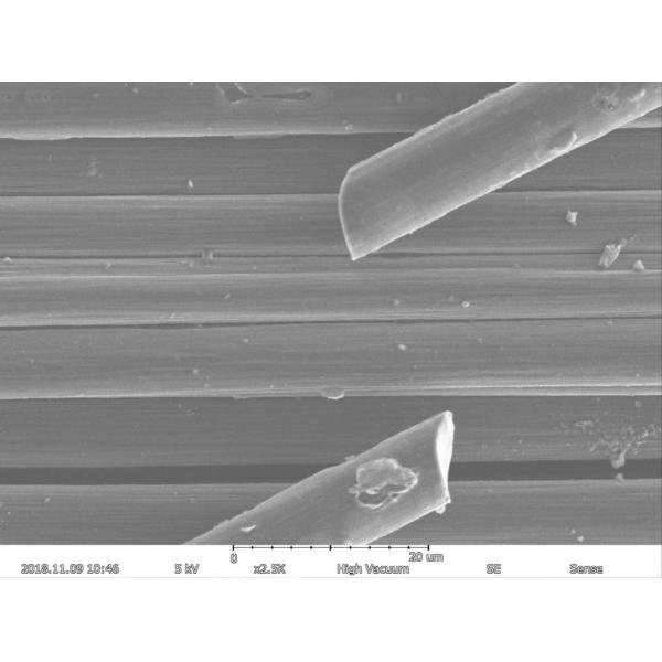 Magnification Max 150000X Scanning Electron Microscope 5nm Resolution EDS BSE
