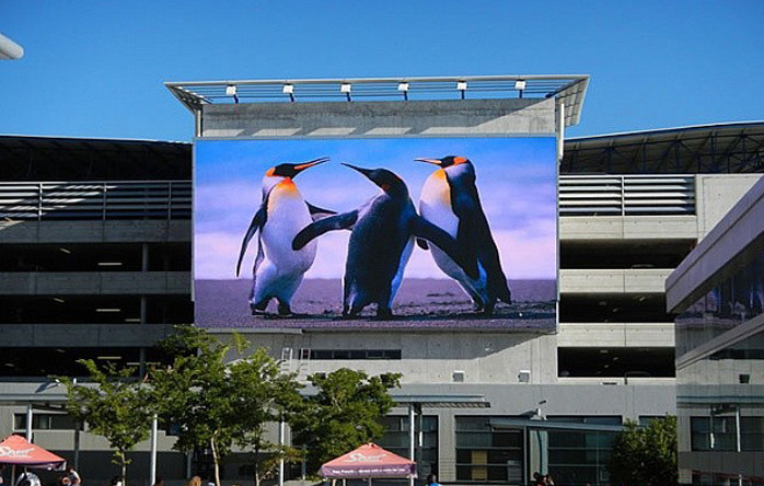 Light Weight P8 Outdoor Advertising Led Display Video 256 * 128mm Waterproof