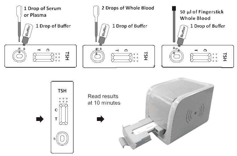 CE Cassette Thyroid Stimulating Hormone test One Step Rapid Test With Reader