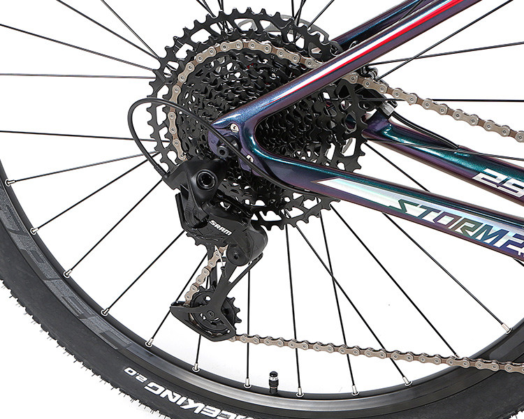 Carbon Mountain Bike 29er Holographic Color With Sram SX 12S Groupset For Adult