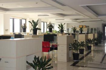 PUYANG GENERAL SCIENCE AND TECHNOLOGY CO., LIMITED