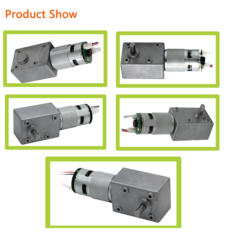 Faradyi Customized 12V 24V High Torque Brush Motor Turbo Worm Gear Motor Speed Control Motor