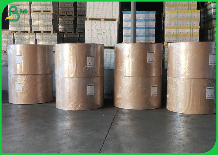 Disposable greaseproof rolls PE coated kraft paper for food takeway 250gsm 300gsm