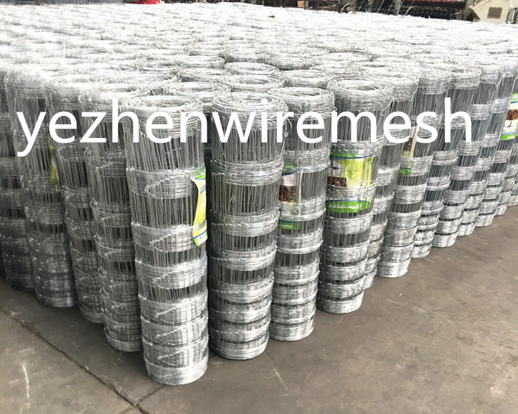 0.8m/1.5m hot dipped galvanized grassland farm field fence goat cattle sheep farm fence