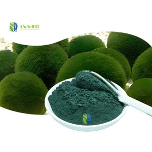 Buy cheap Pure Chlorella Powder product