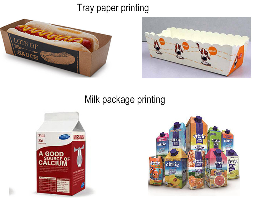 Paper Lunch Box Roll To Roll Flexo Printing Machine 300mm-1200mm Length