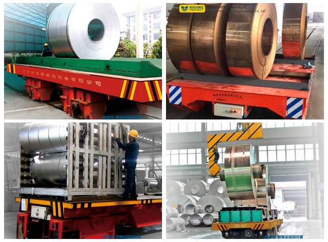 electric transfer cart mounted on the rail for special occasion handling
