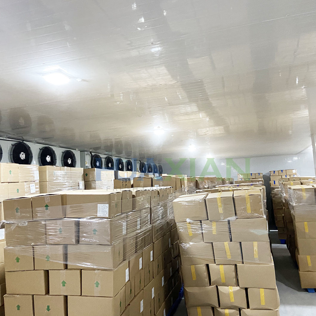 Bitzer/Danfoss/Copeland Compressor Condenser Transport Cold Storage Freezer Room Refrigeration Unit