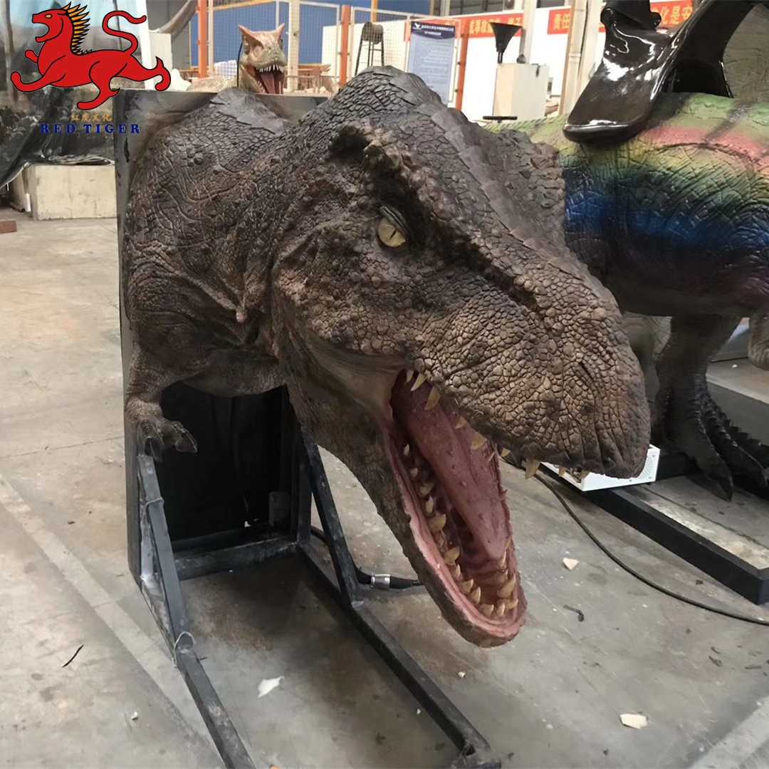 Indoor Realistic Dinosaur Head Wall Mount Decorative Size Customized