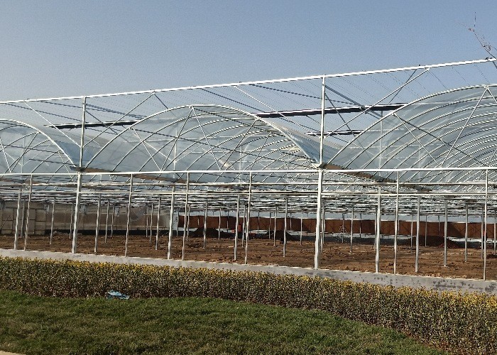 Vegetable Agricultural Tomatoes Dome Roof 7-10m Span Po Film Greenhouse