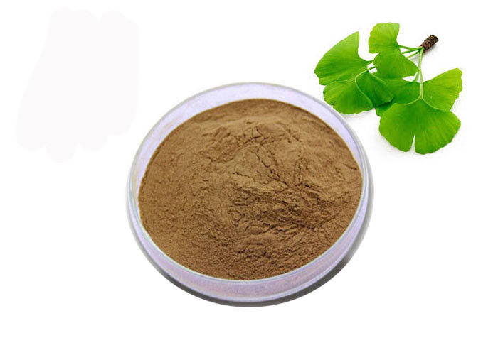 USP Grade Organic Ginkgo Biloba Powder
