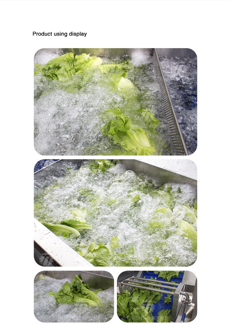 Stepless Shift Water Current Motivity Fruit And Vegetable Washing Machine Impurities Separation
