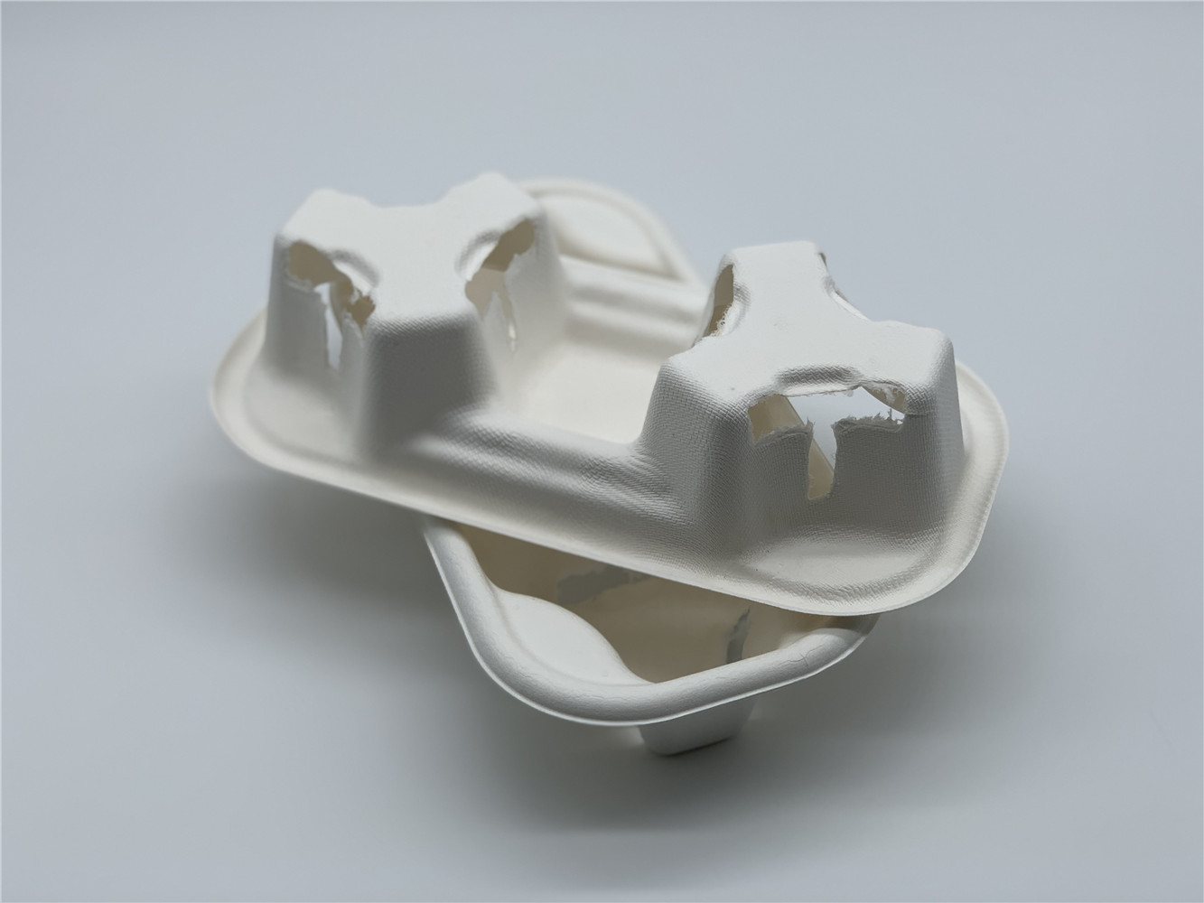 Zero Plastic Compostable Sugarcane Bagasse 2 Cup Carrier