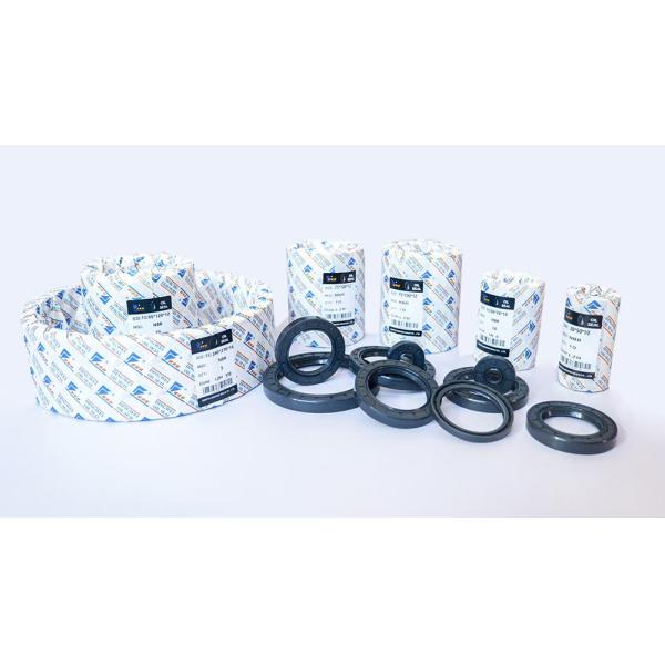 TCV Skeleton Oil Seals Machine Rotary Shaft Oil Seal For Temperature Environments