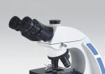 Achromatic Laboratory Biological Microscope With 54 - 75mm Interpupillary