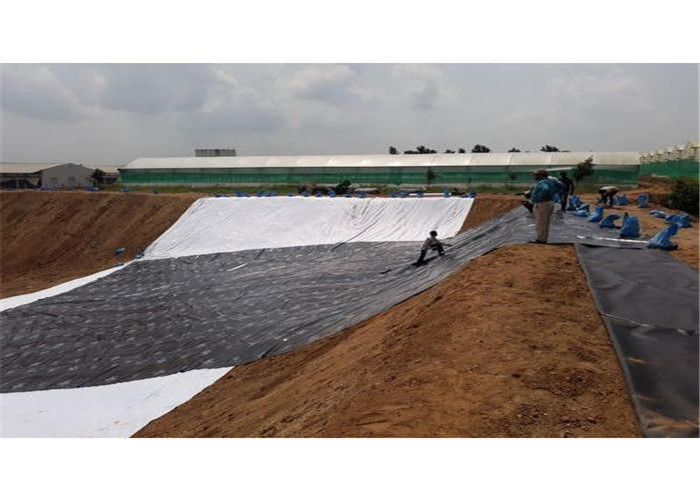Fish Pond Polyethylene Geomembrane Waterproof Aquaculture Hdpe Impervious