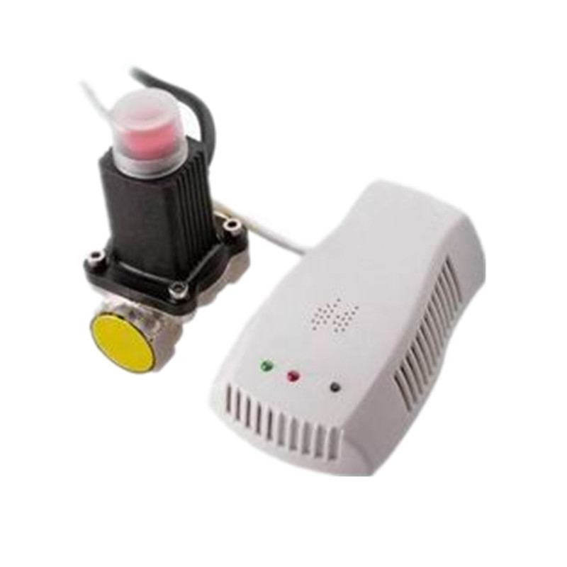 110V - 220V AC Portable Gas Tester , Gas Leak Detector With European Or US Plug
