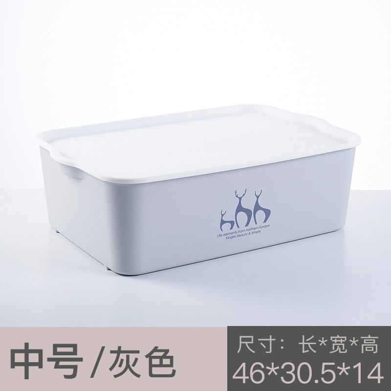 Living Room Bedroom Underwear Plastic Organizer Box With Lid