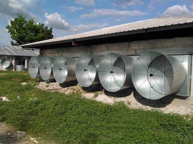 50 Inch Exhaust Fan