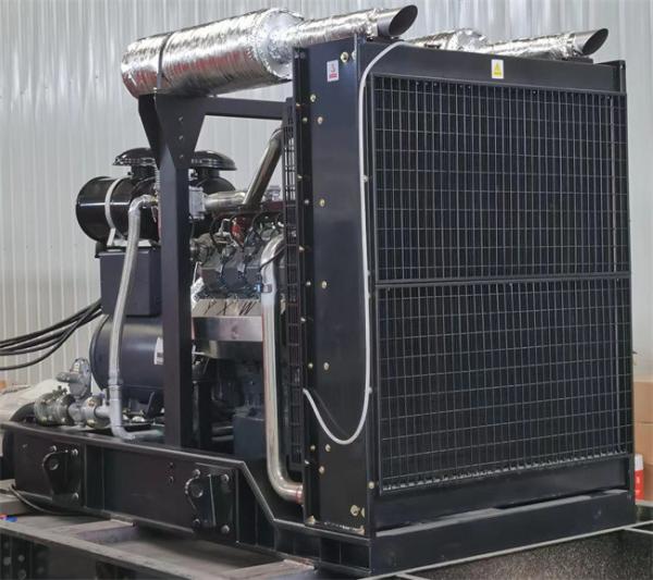 CNG LNG Coalbed Methane Industrial Natural Gas Generator 320KW Natural Gas