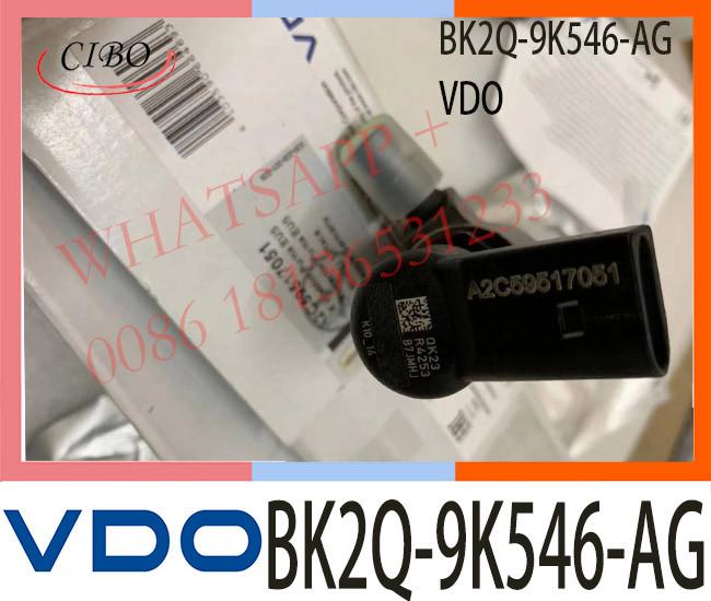 A2C59517051 BK2Q-9K546-AG Common Rail Injector For Citroen