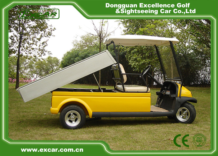 2 Passenger Electric Utility Car With Cargo Box