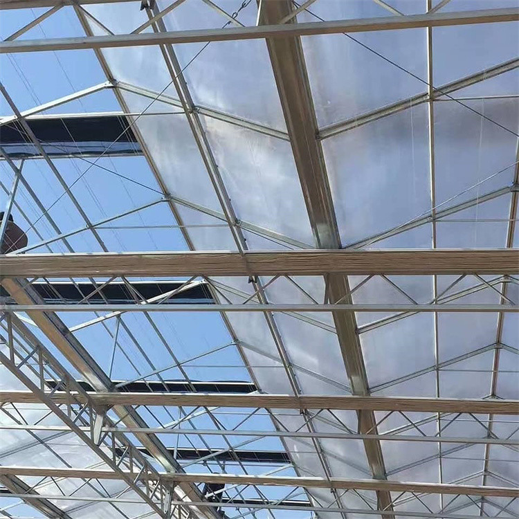 Customized Venlo Type Greenhouse Multispan Tunnels Hot Dip Galvanized Steel
