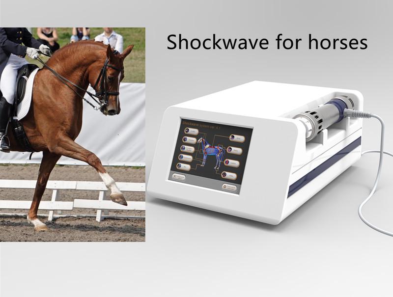 Veterinary Shockwave Therapy Machine For Racing Horse