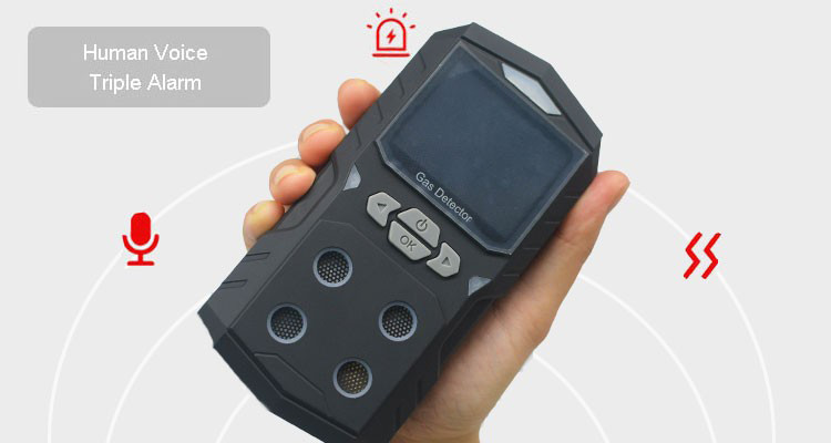 4 In 1 Handheld Multi Gas Detector 100PPM 1000PPM Data Logging Voice Alarm