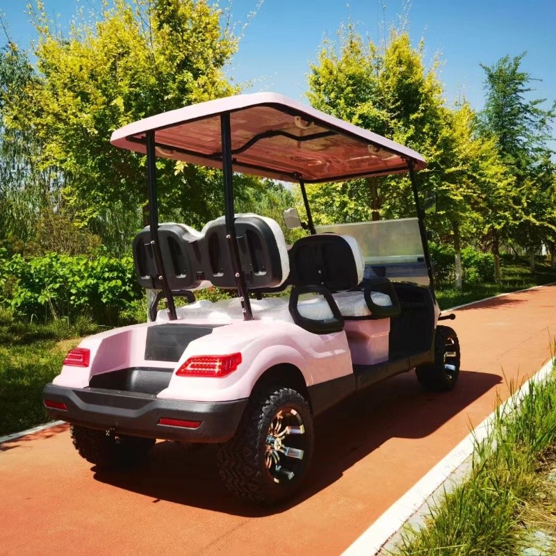 Pink Color 60V 4KW AC System EV Golf Cart New Energy Off Road Electric Golf Cart