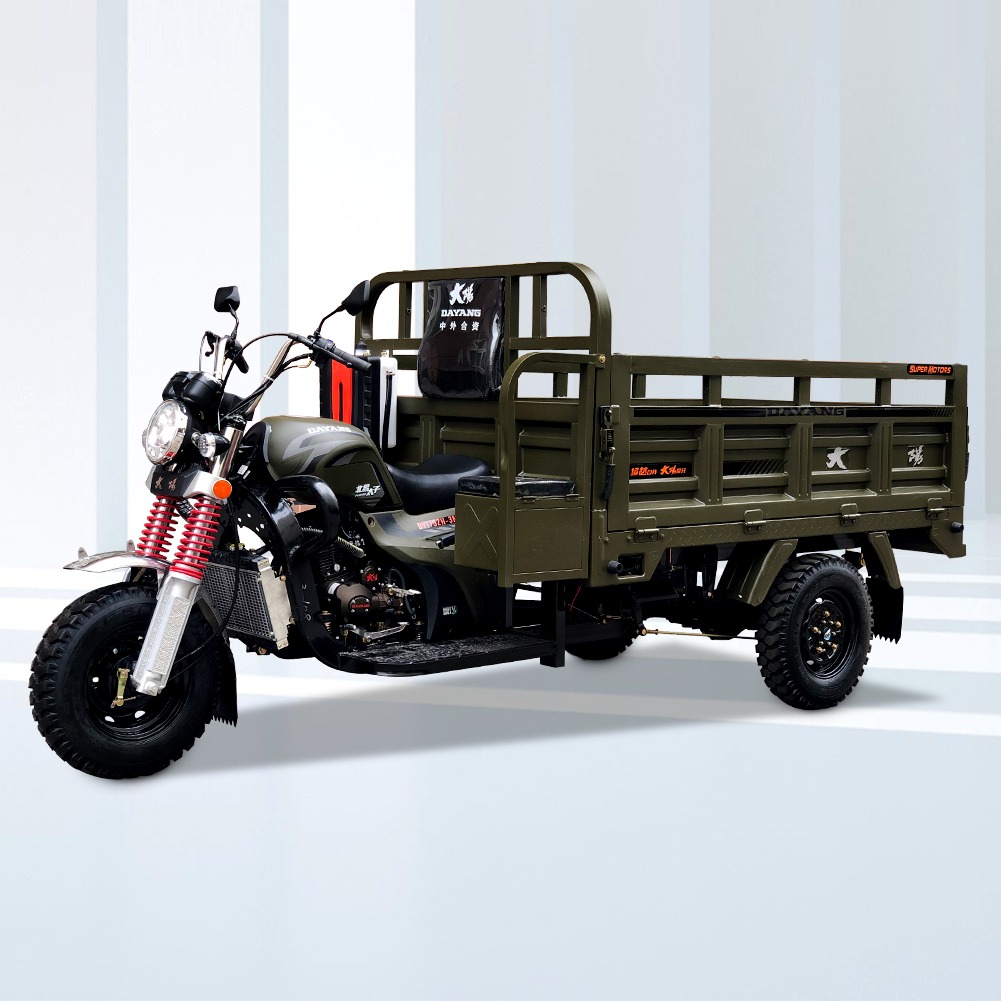 Super Load Capacity Motorized Cargo Tricycle with 800W Power and 60km/h Speed