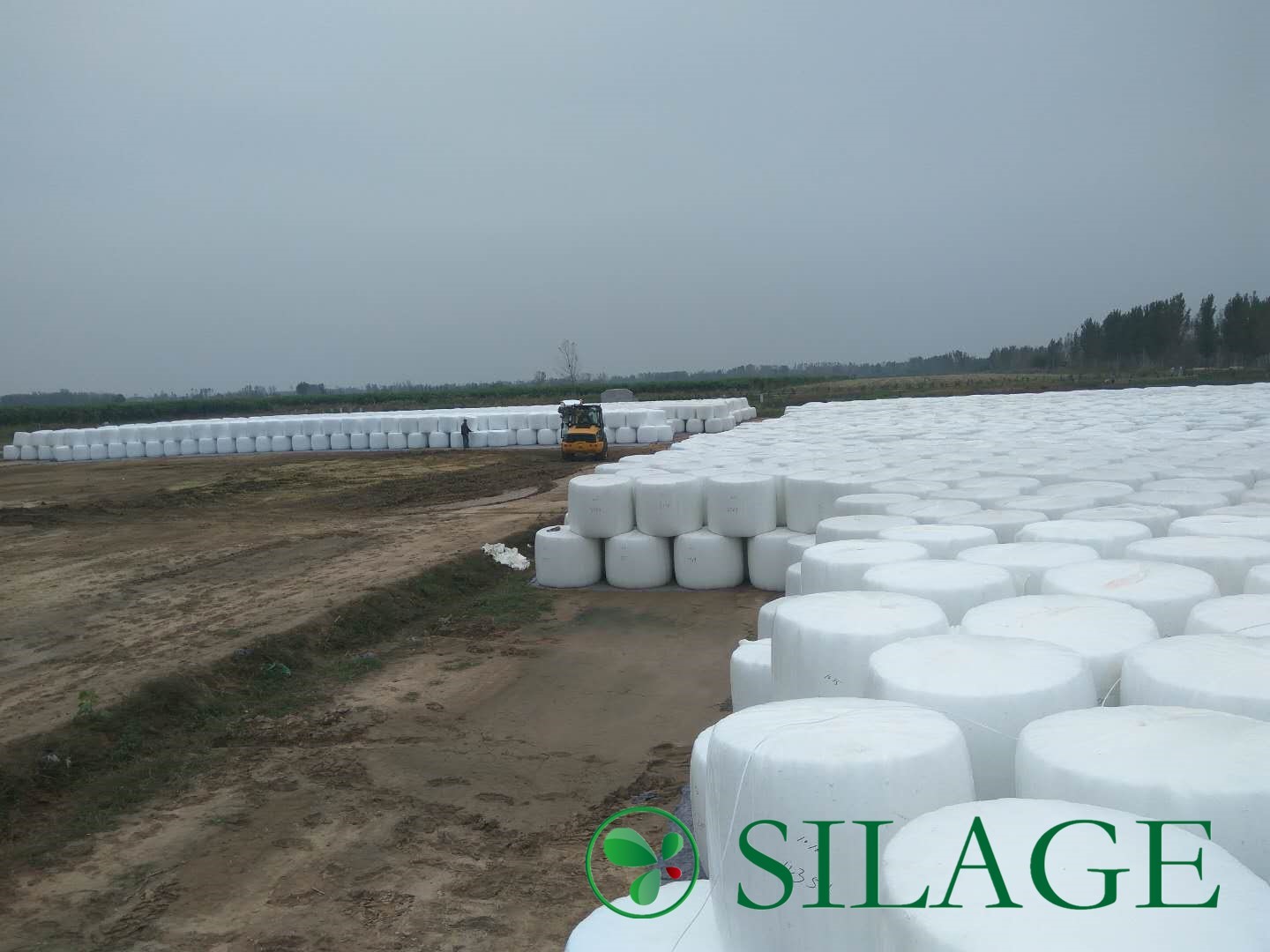 Blown Bale Wrapping Film Supplying Poland