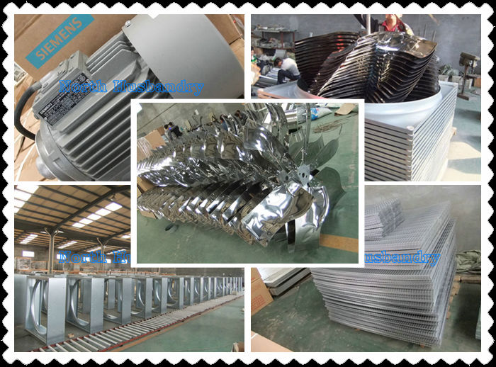 Oman Best Swung drop hammer exhaust fan cheap poultry fan
