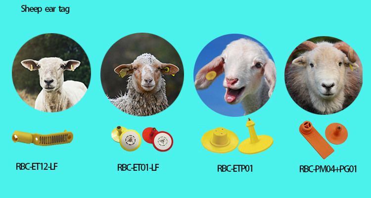 Farm Management Electronic Replacement Ear Tags Cattle